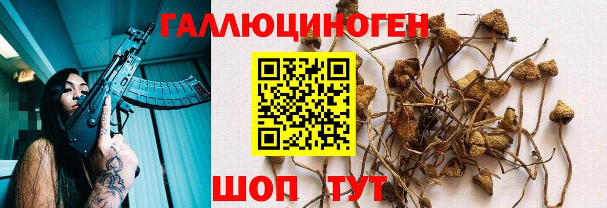 Нововоронеж  Галлюциногенные грибы Psilocybe  Псилоцибиновые грибы GOLDEN TEACHER  Вход с VPN 
